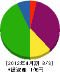 西田塗装店 貸借対照表 2012年4月期