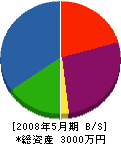 田タイル産業 貸借対照表 2008年5月期