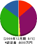 三弘組 貸借対照表 2009年12月期