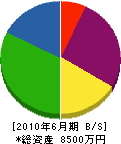 長谷川産業 貸借対照表 2010年6月期