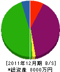 大阪宣広社 貸借対照表 2011年12月期