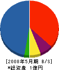 大槻総業 貸借対照表 2008年5月期