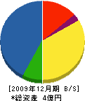 伊藤組 貸借対照表 2009年12月期