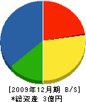 神山工業 貸借対照表 2009年12月期
