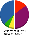 岡田トラスト総業 貸借対照表 2010年6月期