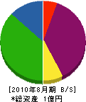 菅家電機 貸借対照表 2010年8月期