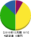 舞鶴厚生 貸借対照表 2010年12月期