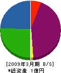 ガーデン松田 貸借対照表 2009年3月期