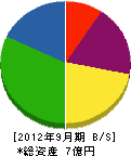 田中建設興業 貸借対照表 2012年9月期