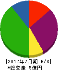 手塚建材 貸借対照表 2012年7月期