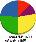 中塚工務店 貸借対照表 2012年4月期