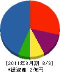 竹本綜合建設 貸借対照表 2011年3月期