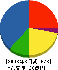 阪神コンサルタンツ 貸借対照表 2008年3月期