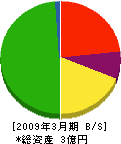 グリーン田中 貸借対照表 2009年3月期