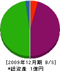 田村興業 貸借対照表 2009年12月期