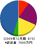 佐藤十工務店 貸借対照表 2009年12月期