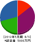 阪本電工 貸借対照表 2012年5月期