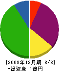 土井鉄工所 貸借対照表 2008年12月期