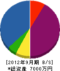 奥田電気工事 貸借対照表 2012年9月期