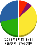 中村松兵衛商店 貸借対照表 2011年6月期