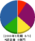 武蔵建設 貸借対照表 2008年9月期