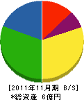 石田塗装店 貸借対照表 2011年11月期