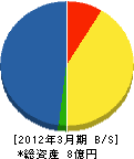 桜井工業 貸借対照表 2012年3月期