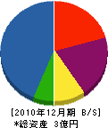 中島土建 貸借対照表 2010年12月期