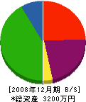 石川成美堂 貸借対照表 2008年12月期