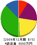 寺本興産 貸借対照表 2009年12月期