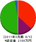 三栄企業 貸借対照表 2011年3月期