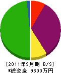 藤井開発興業 貸借対照表 2011年9月期