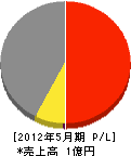 渡辺工業 損益計算書 2012年5月期