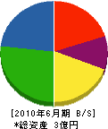 脇浜電業 貸借対照表 2010年6月期