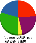 宏陽 貸借対照表 2010年12月期
