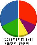 ヤマシタ工務店 貸借対照表 2011年6月期
