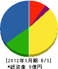 江村建設 貸借対照表 2012年3月期