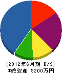松豊園 貸借対照表 2012年6月期