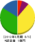 田辺電業社 貸借対照表 2012年6月期