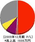 畑澤電設 損益計算書 2009年12月期