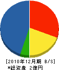 田中建設 貸借対照表 2010年12月期