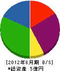 丸升山崎工業 貸借対照表 2012年6月期