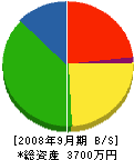 岩崎建設 貸借対照表 2008年9月期