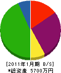 東磐グリーン 貸借対照表 2011年1月期