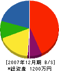 ＊田水道 貸借対照表 2007年12月期