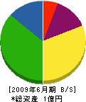 江田特殊防水工業 貸借対照表 2009年6月期