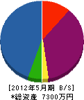 音田工務店 貸借対照表 2012年5月期