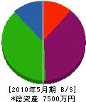羽田野組 貸借対照表 2010年5月期