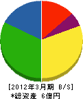野沢総合 貸借対照表 2012年3月期