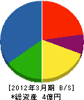 雲南道路サービス 貸借対照表 2012年3月期